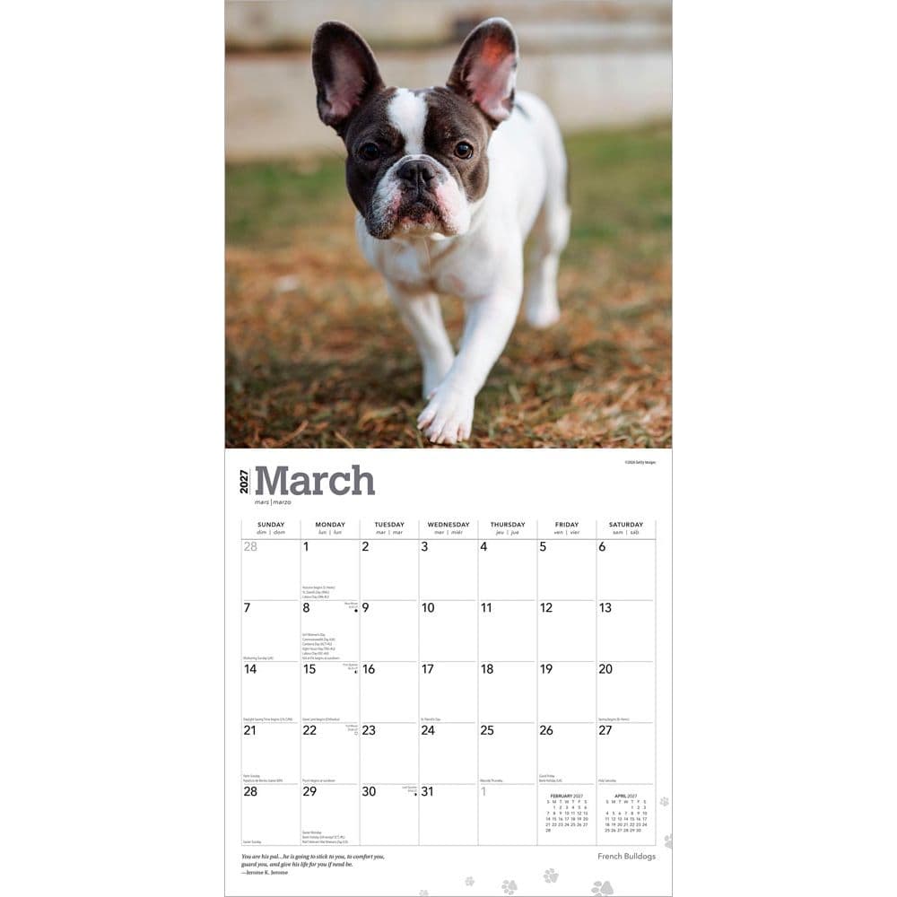 French Bulldogs 2027 Wall Calendar Second Alternate Image