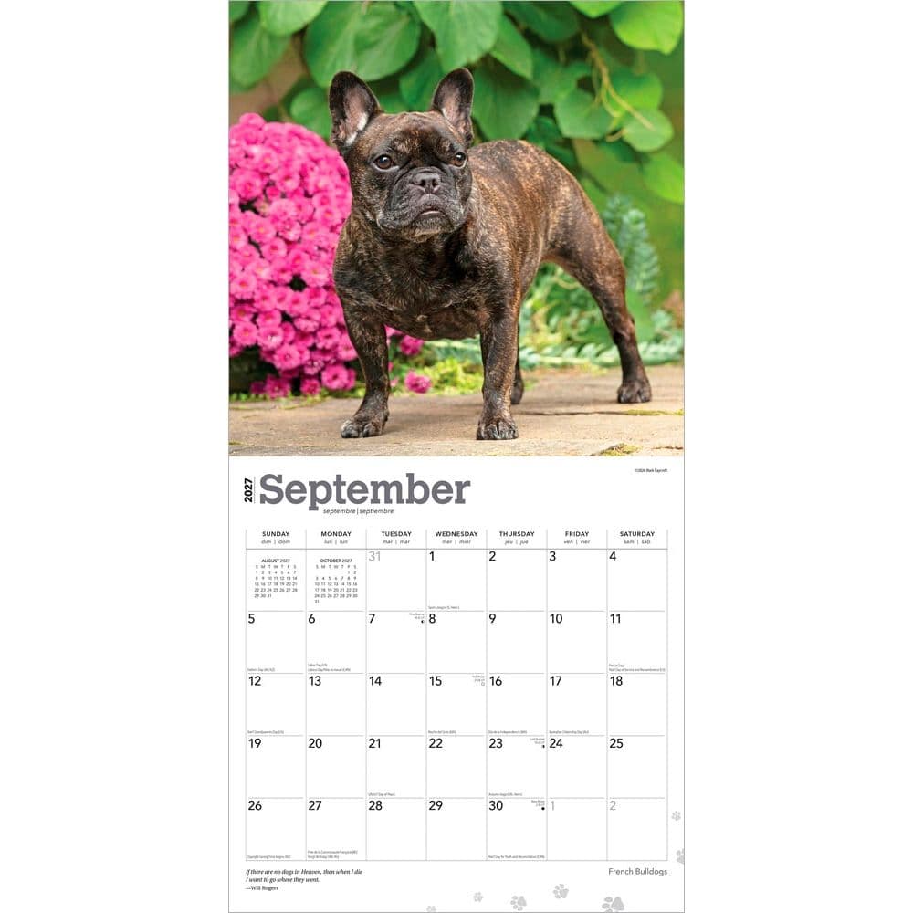 French Bulldogs 2027 Wall Calendar Third Alternate Image