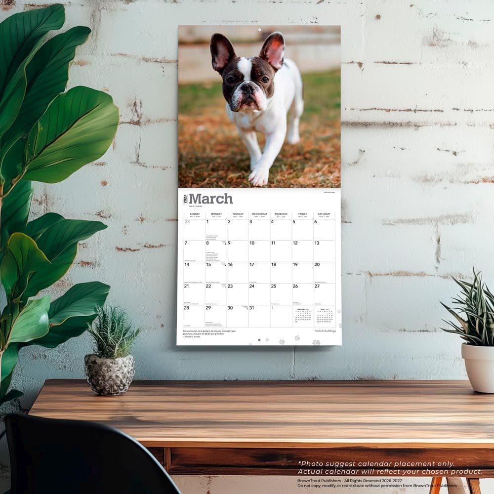 French Bulldogs 2027 Wall Calendar Fourth Alternate Image