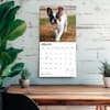 image French Bulldogs 2027 Wall Calendar Fourth Alternate Image