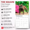 image French Bulldogs 2027 Wall Calendar Fifth Alternate Image