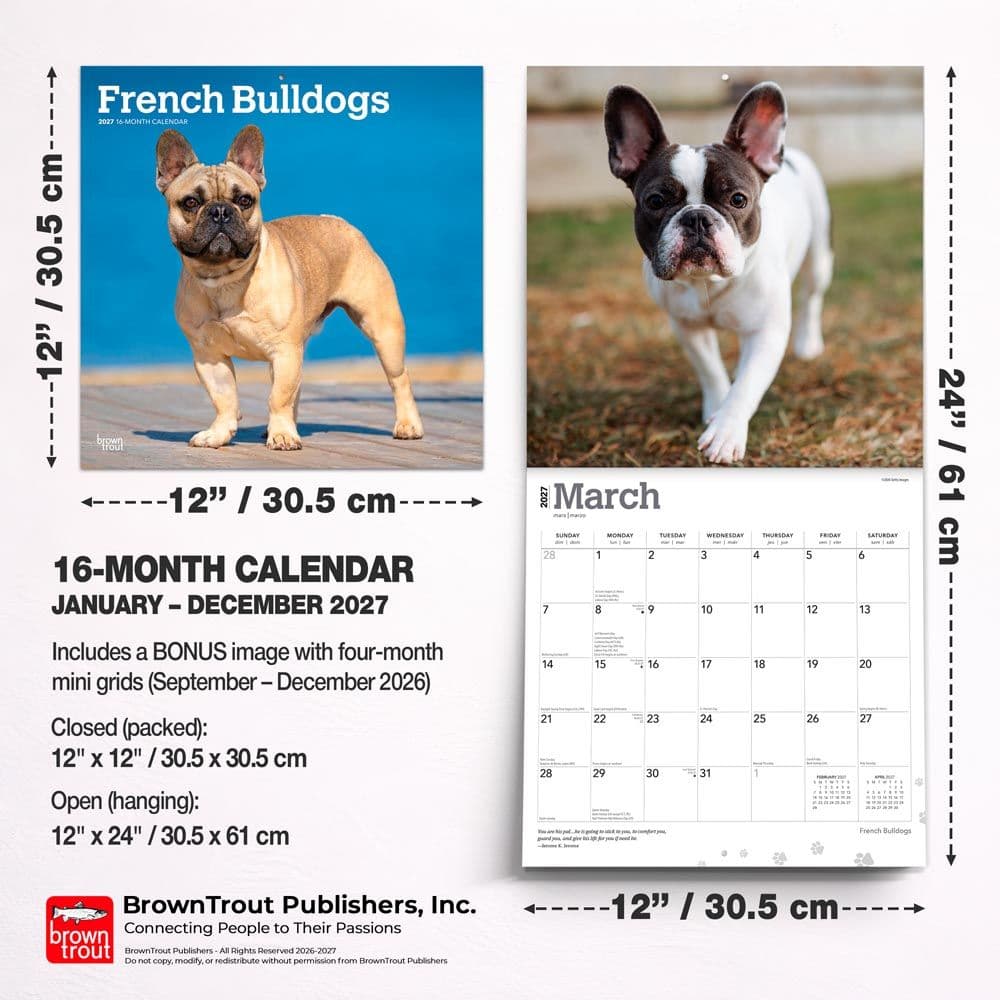 French Bulldogs 2027 Wall Calendar Sixth Alternate Image