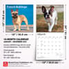 image French Bulldogs 2027 Wall Calendar Sixth Alternate Image