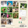 image French Bulldogs 2027 Mini Wall Calendar First Alternate Image