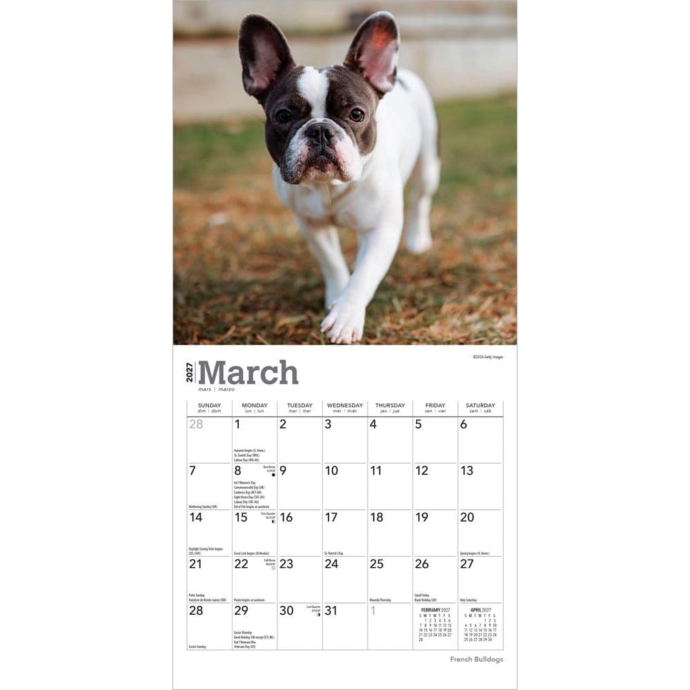 French Bulldogs 2027 Mini Wall Calendar Second Alternate Image