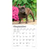 image French Bulldogs 2027 Mini Wall Calendar Third Alternate Image