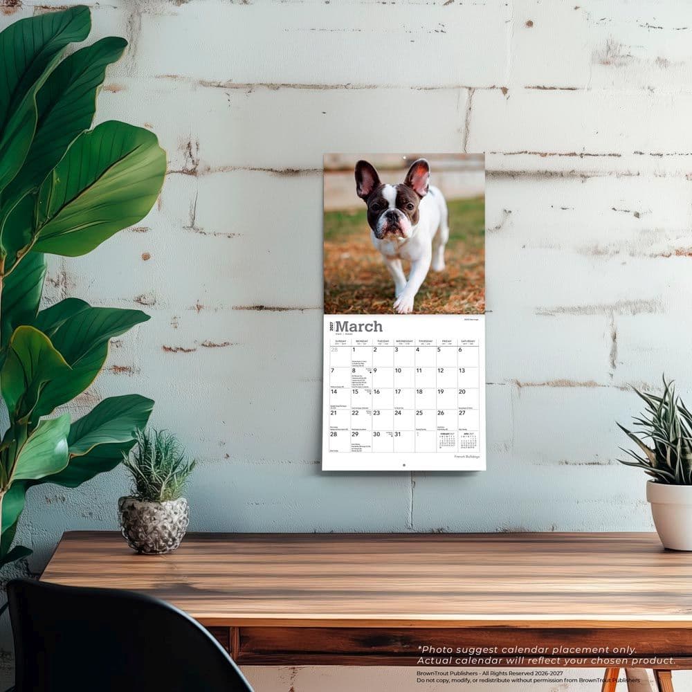 French Bulldogs 2027 Mini Wall Calendar Fourth Alternate Image