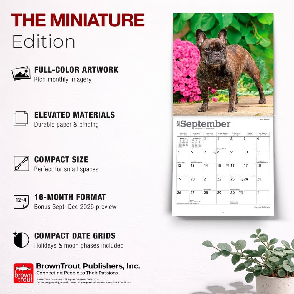 French Bulldogs 2027 Mini Wall Calendar Fifth Alternate Image