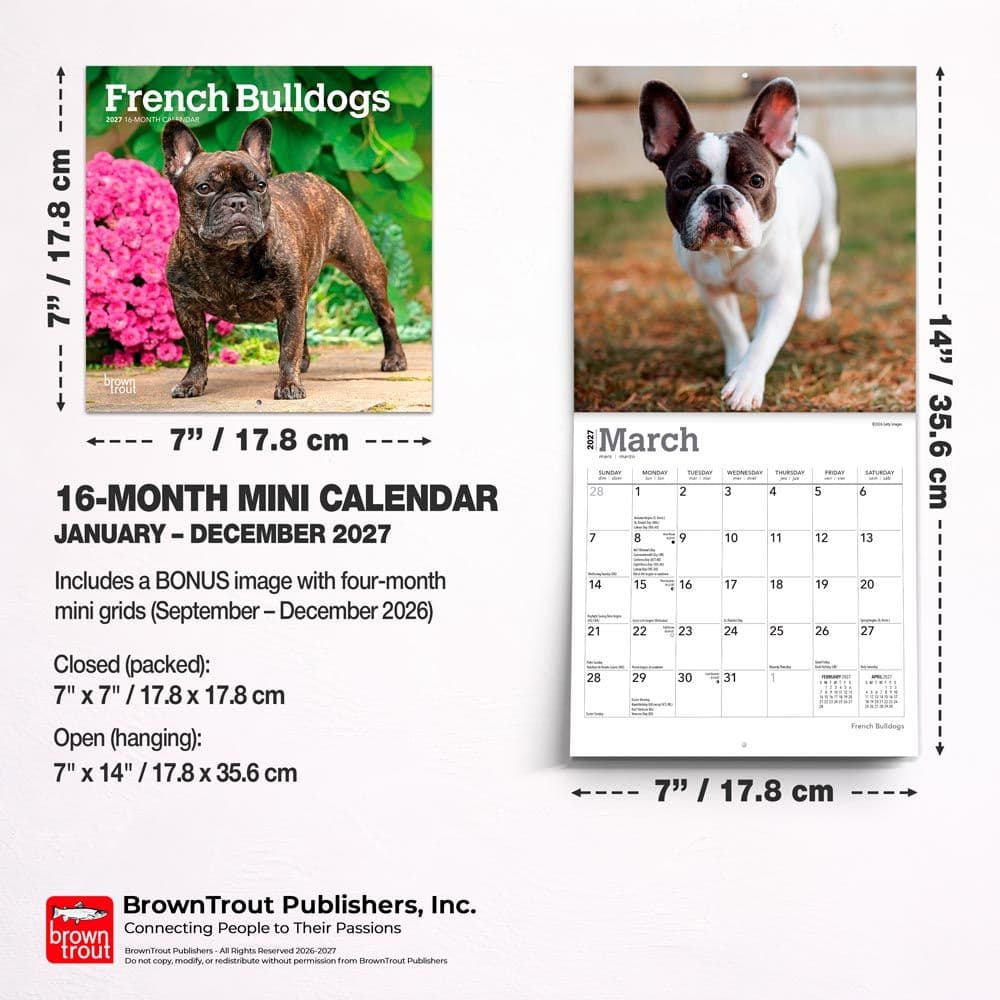 French Bulldogs 2027 Mini Wall Calendar Sixth Alternate Image