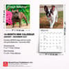 image French Bulldogs 2027 Mini Wall Calendar Sixth Alternate Image