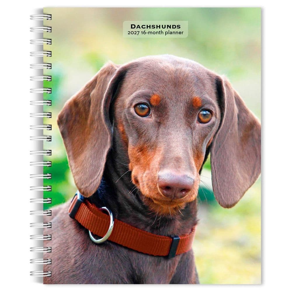 Dachshunds 2027 Engagement Planner Main Product Image