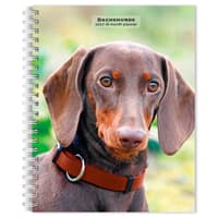 image Dachshunds 2027 Engagement Planner Main Product Image