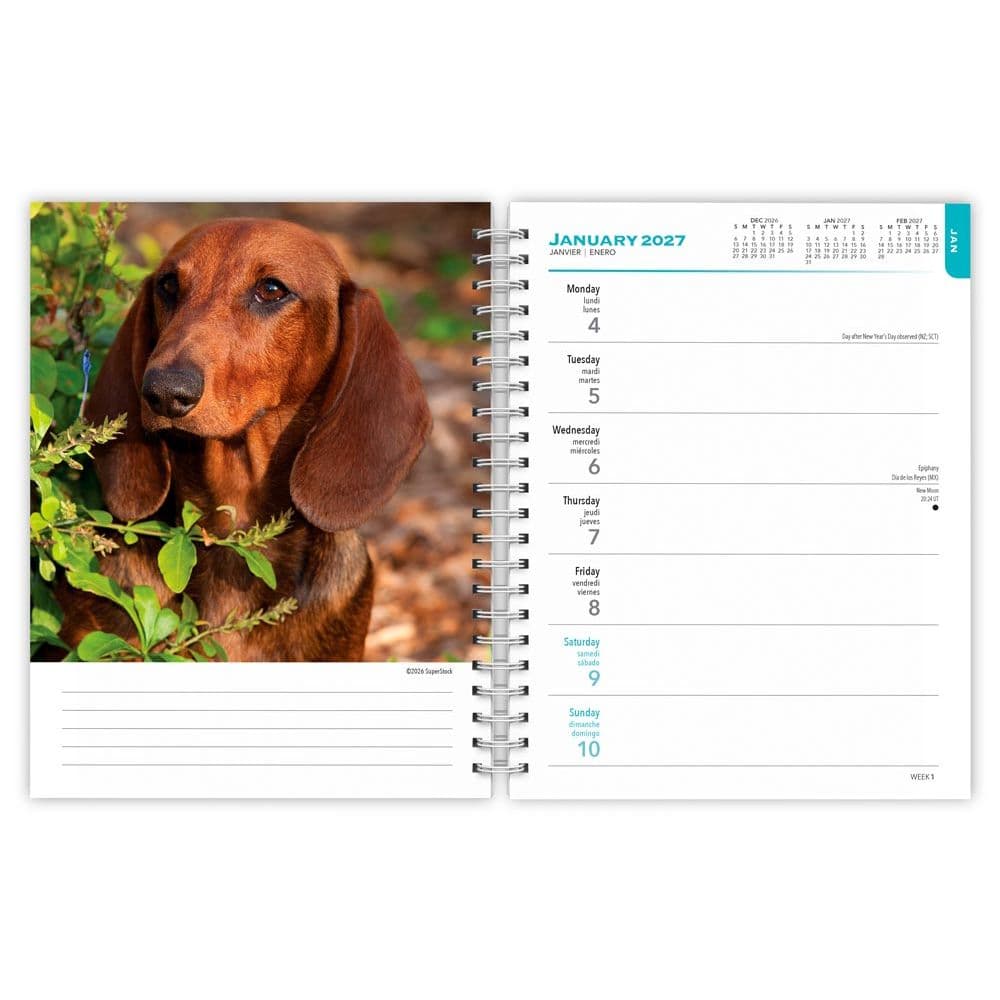 Dachshunds 2027 Engagement Planner Second Alternate Image