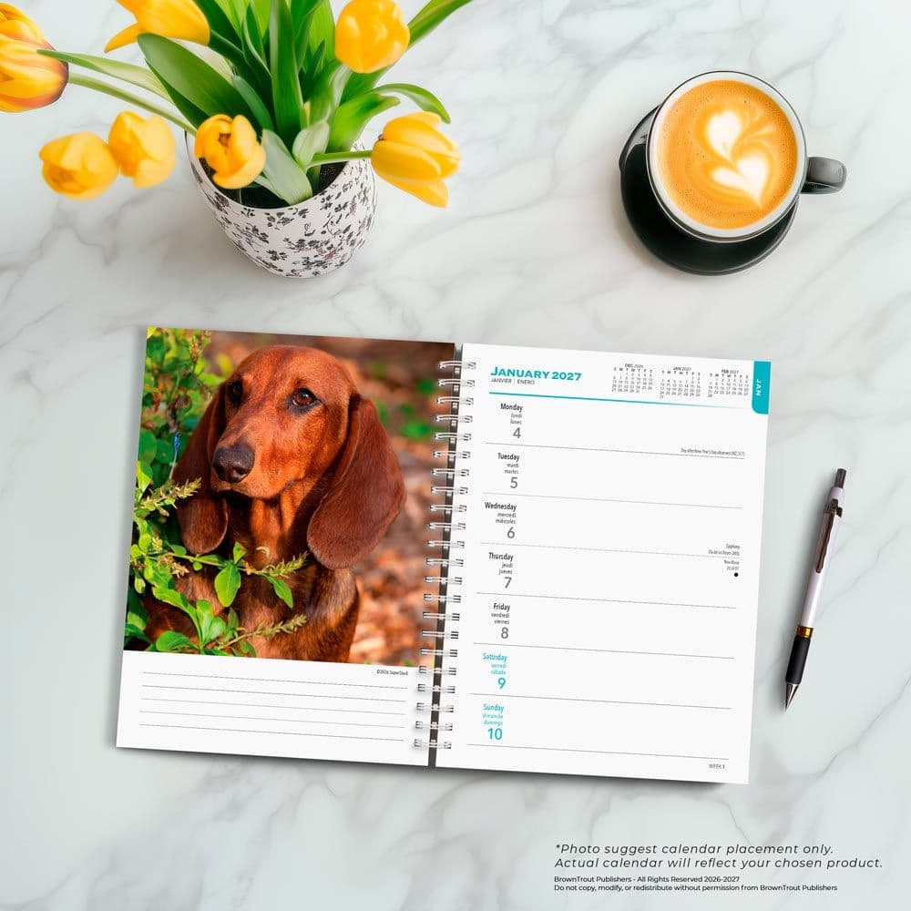 Dachshunds 2027 Engagement Planner Fourth Alternate Image