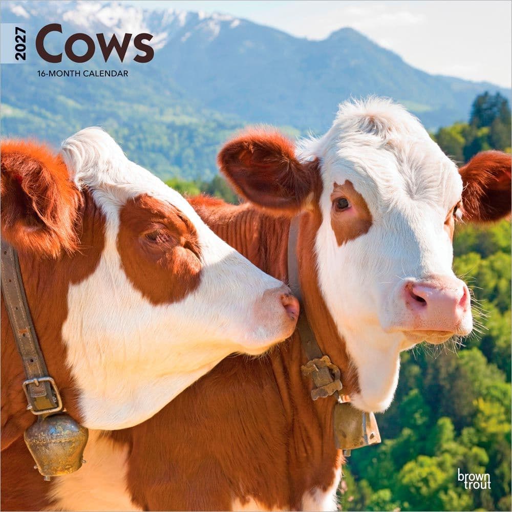 image Cows 2027 Wall Calendar Main Product Image