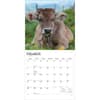 image Cows 2027 Wall Calendar Second Alternate Image