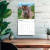 image Cows 2027 Wall Calendar Fourth Alternate Image