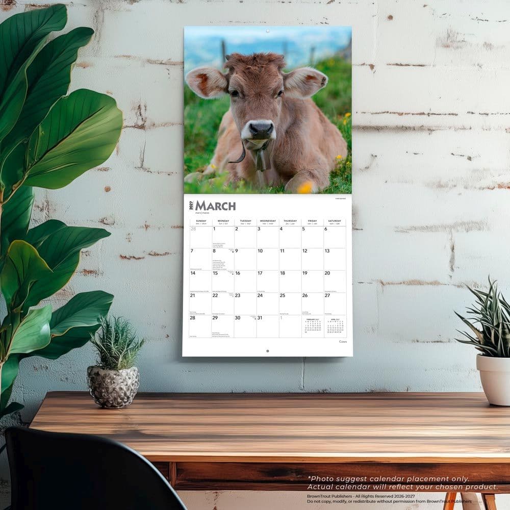 Cows 2027 Wall Calendar Fourth Alternate Image