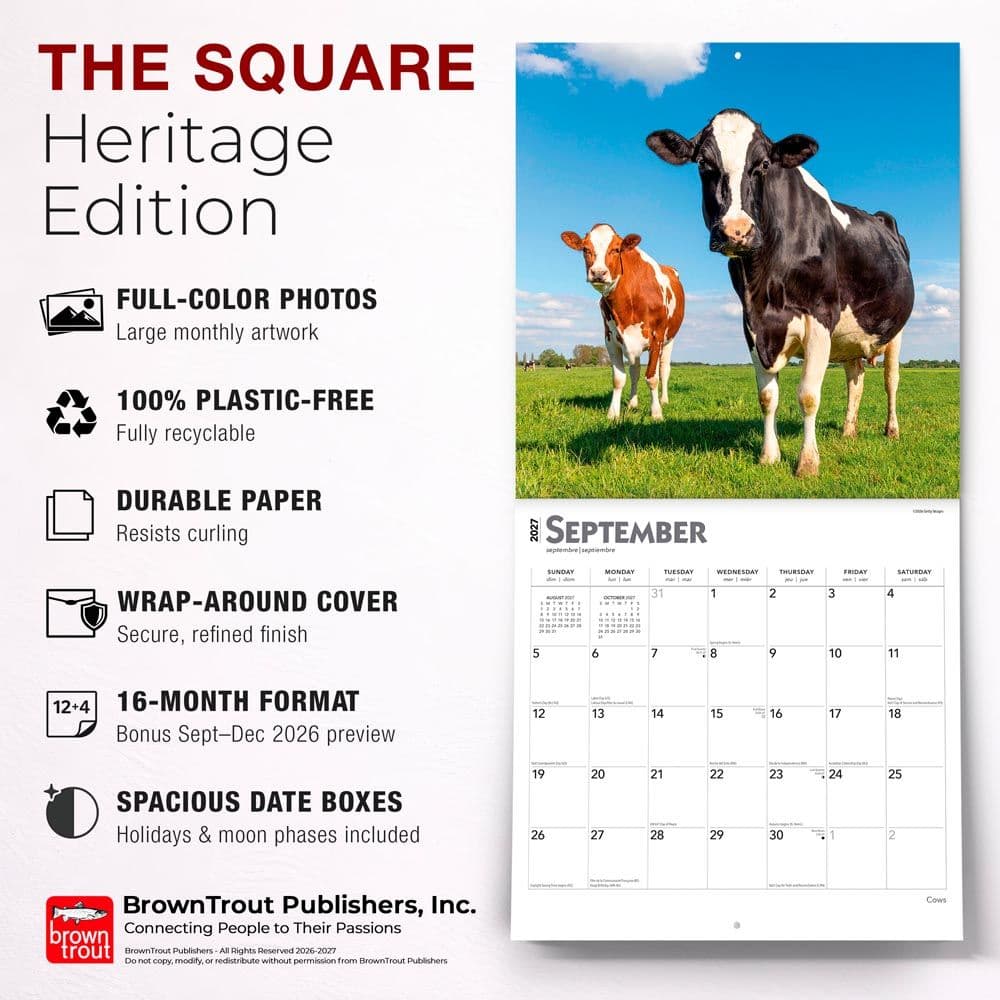 Cows 2027 Wall Calendar Fifth Alternate Image