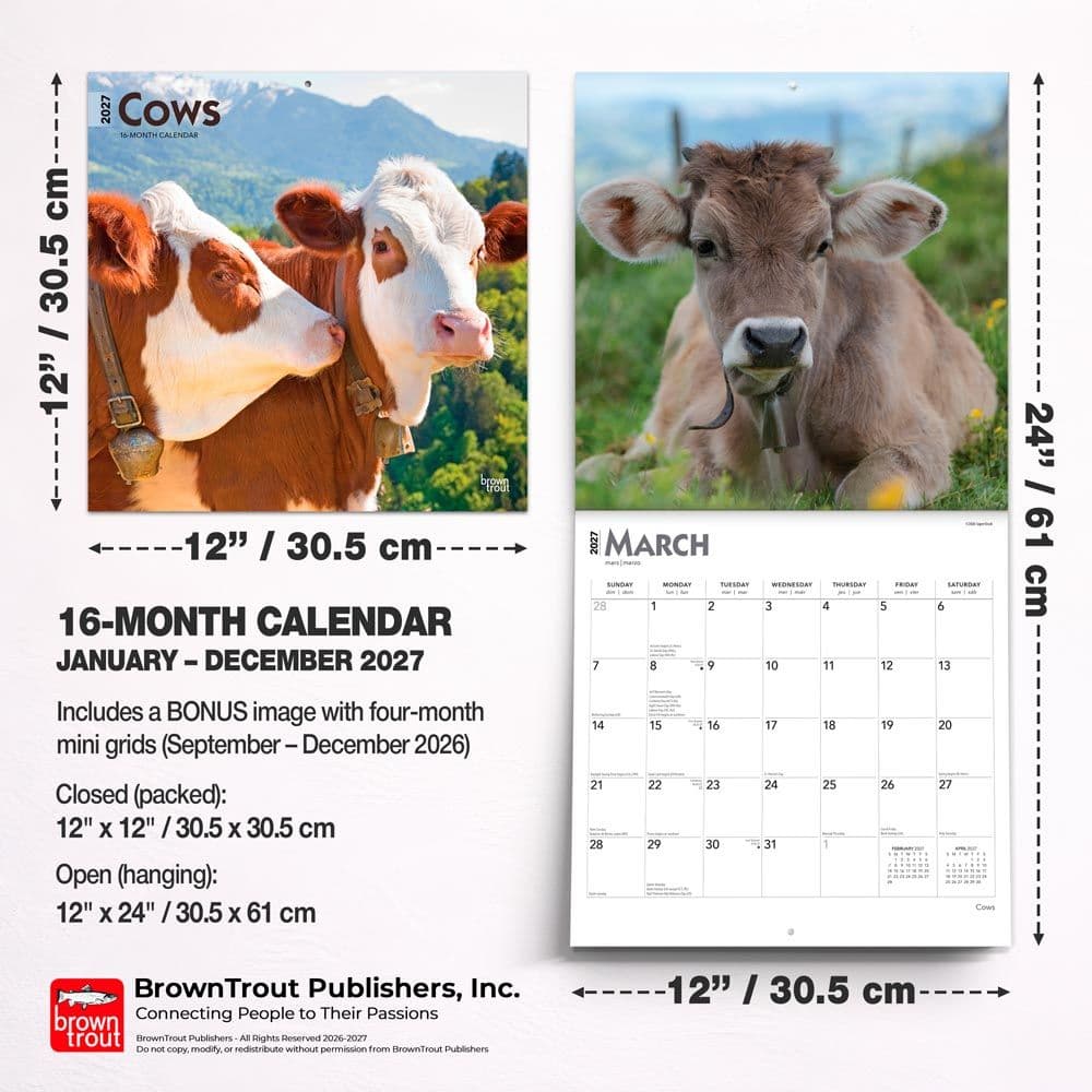 Cows 2027 Wall Calendar Sixth Alternate Image