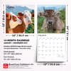 image Cows 2027 Wall Calendar Sixth Alternate Image