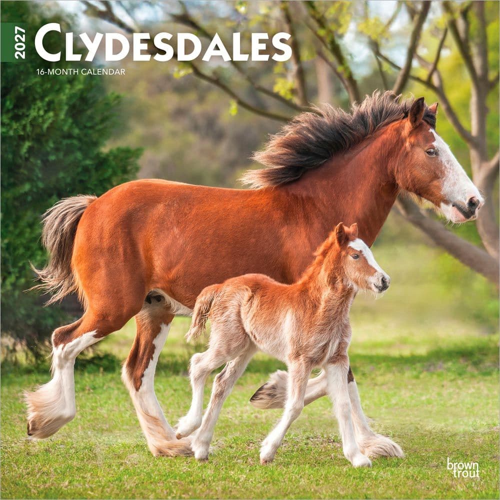 image Clydesdales 2027 Wall Calendar Main Product Image