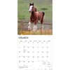 image Clydesdales 2027 Wall Calendar Second Alternate Image