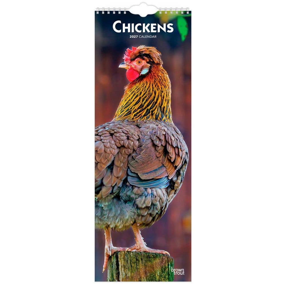 Chickens 2027 Slim Wall Calendar Main Product Image