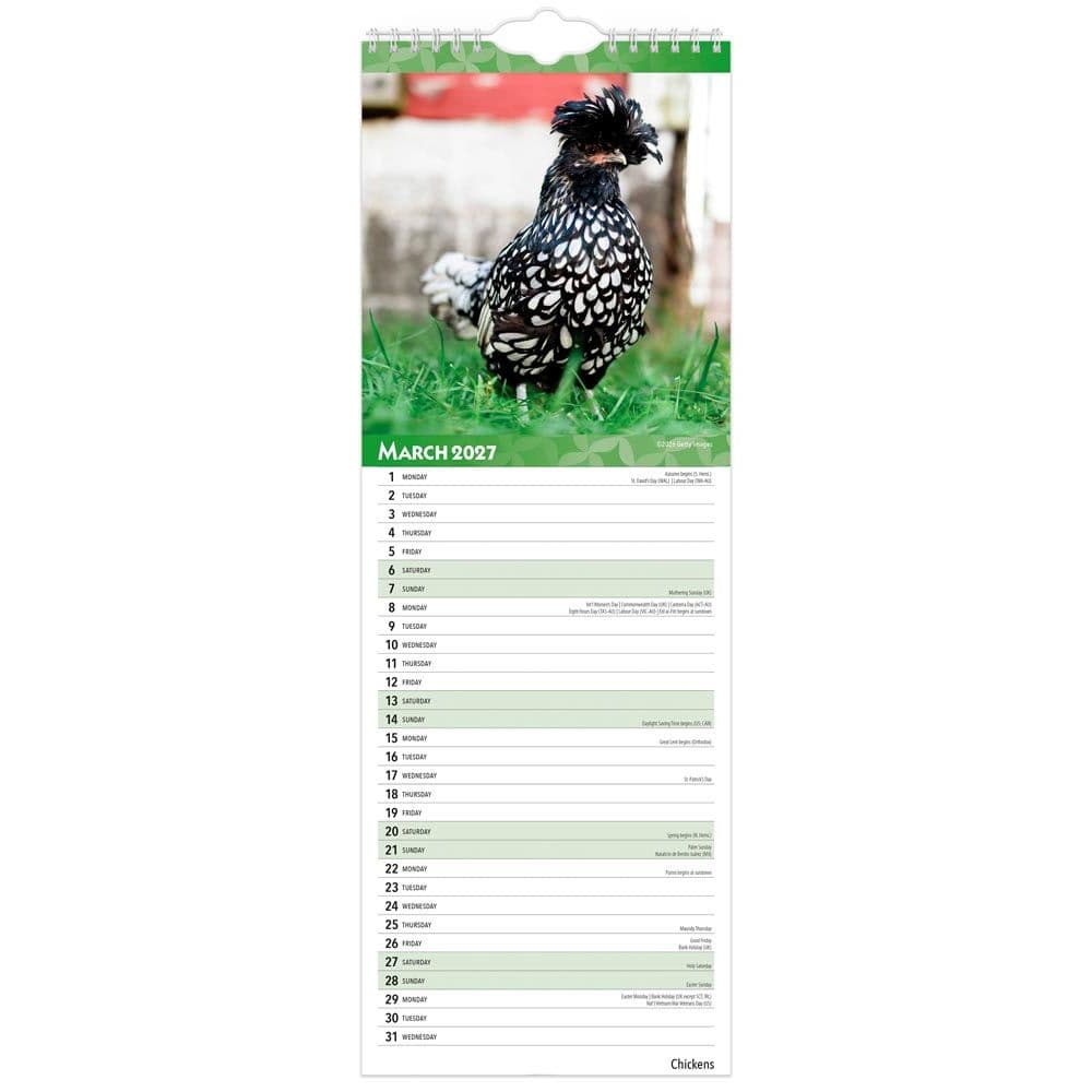 Chickens 2027 Slim Wall Calendar Second Alternate Image