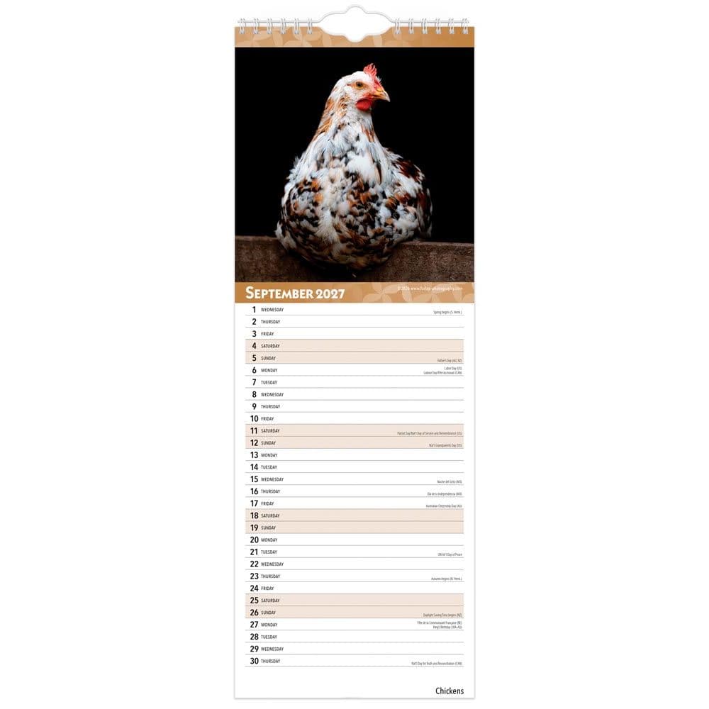 Chickens 2027 Slim Wall Calendar Third Alternate Image