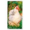 image Chickens 2027 2 Year Pocket Planner Main Product Image
