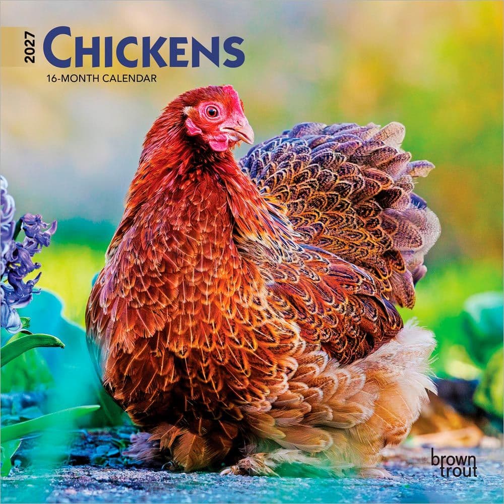 image Chickens 2027 Mini Wall Calendar Main Product Image