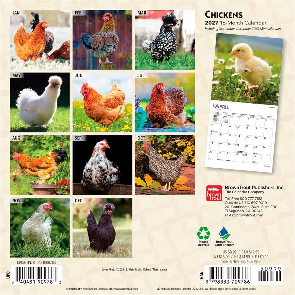 Chickens 2027 Mini Wall Calendar First Alternate Image
