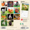 image Chickens 2027 Mini Wall Calendar First Alternate Image