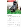image Chickens 2027 Mini Wall Calendar Second Alternate Image