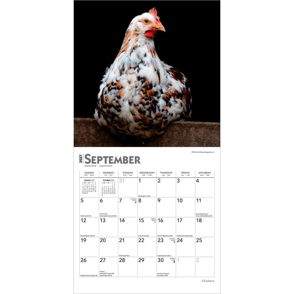 Chickens 2027 Mini Wall Calendar Third Alternate Image