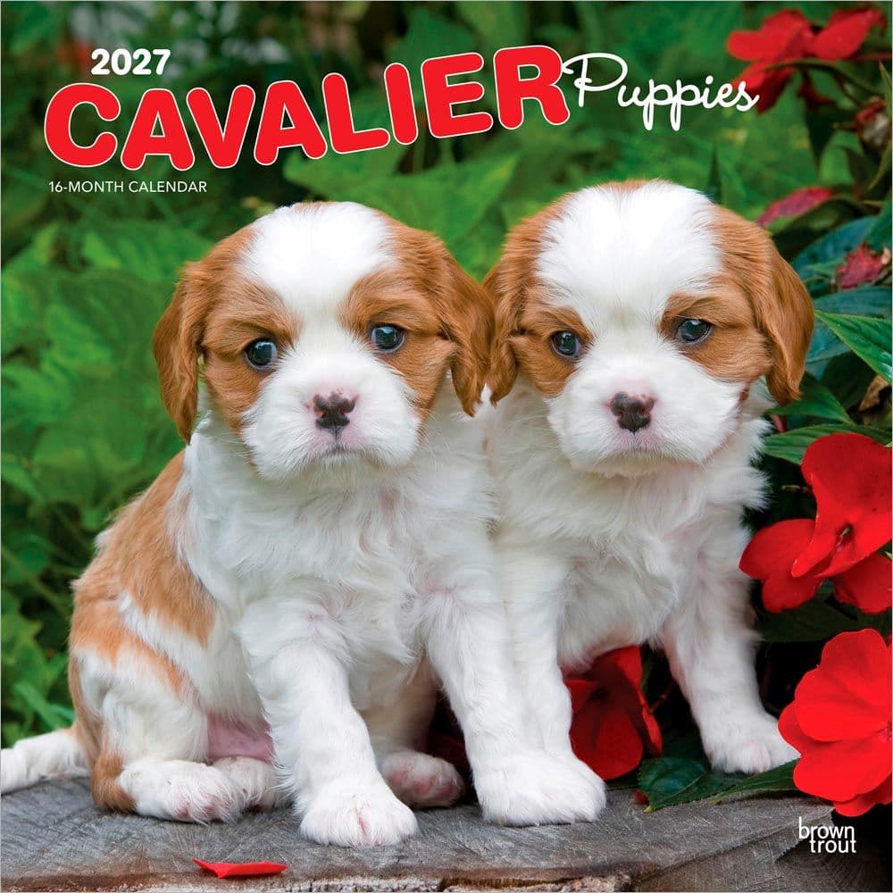 Cavalier King Charles Puppies 2027 Wall Calendar Main Product Image