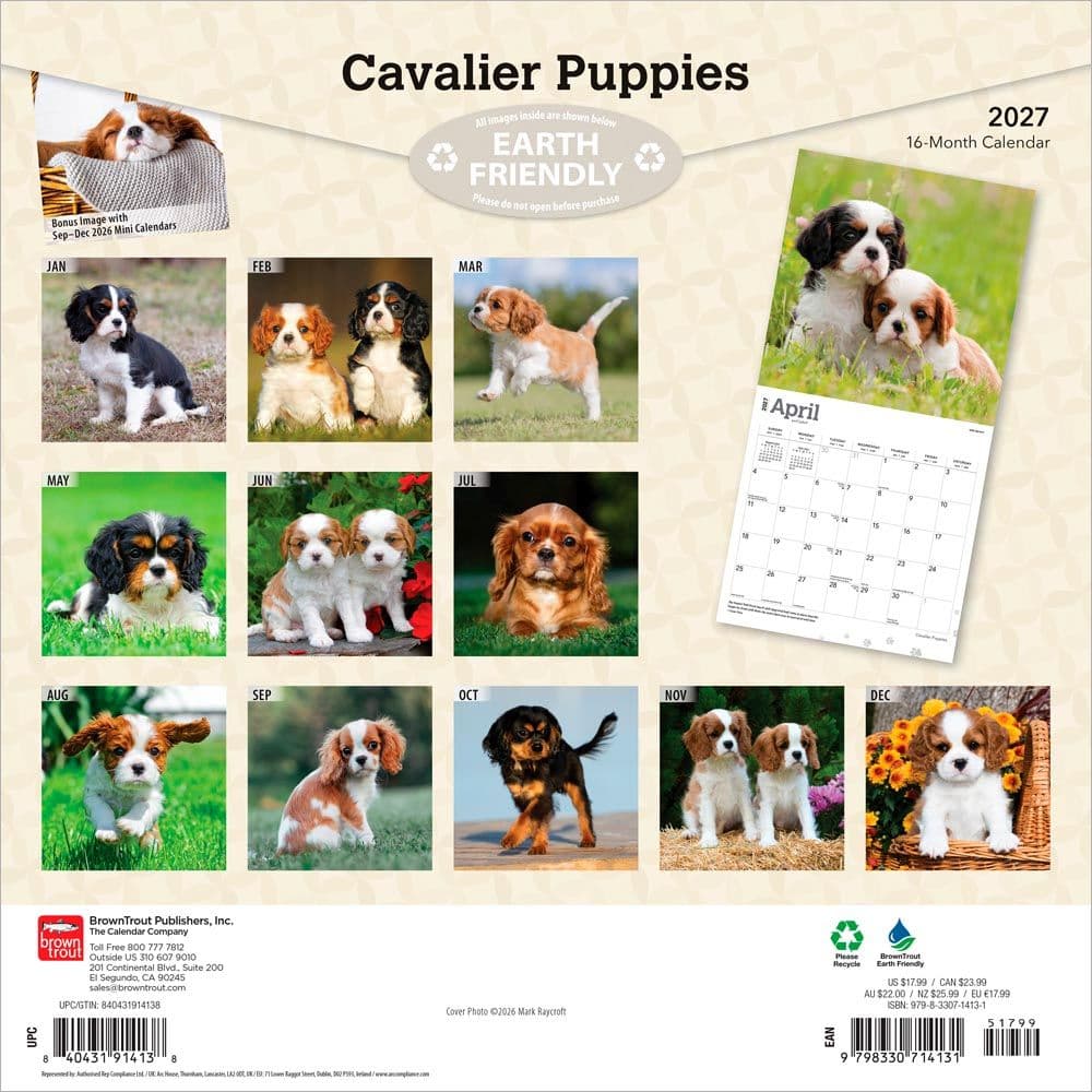 Cavalier King Charles Puppies 2027 Wall Calendar First Alternate Image