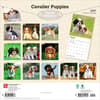 image Cavalier King Charles Puppies 2027 Wall Calendar First Alternate Image