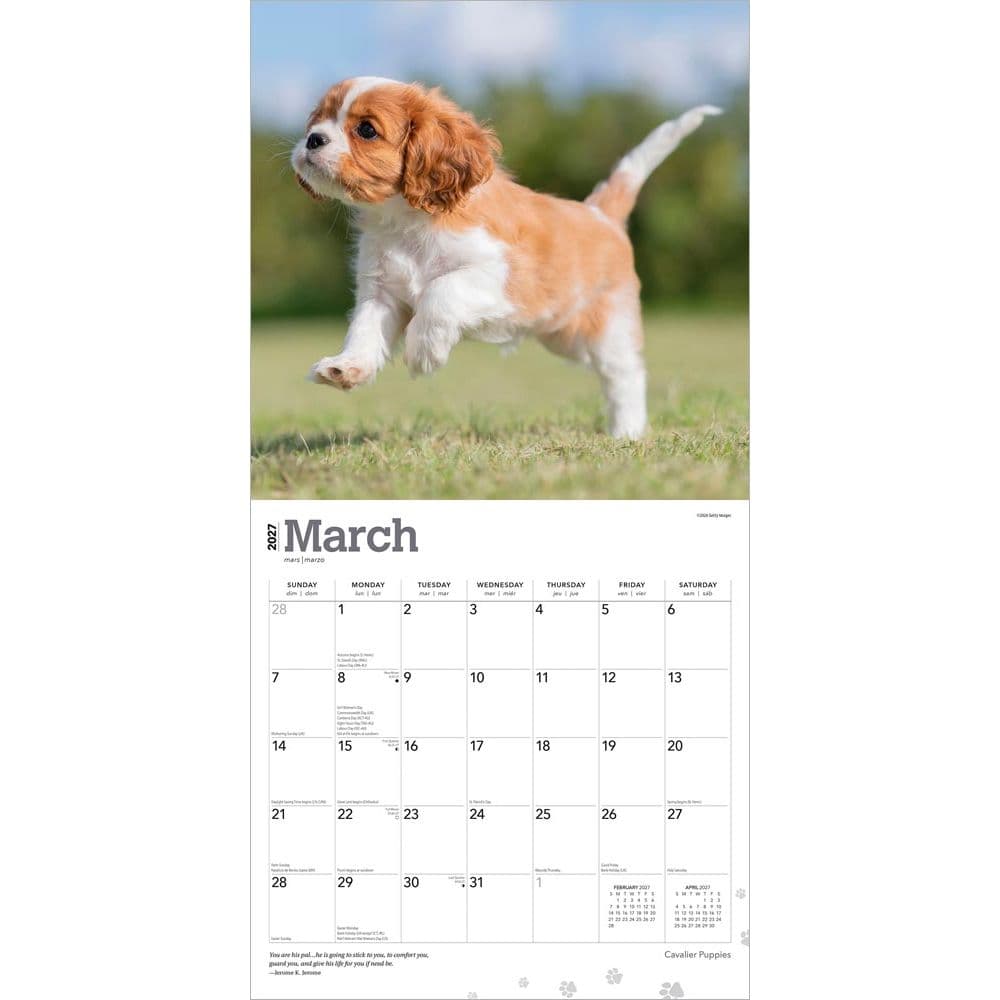Cavalier King Charles Puppies 2027 Wall Calendar Second Alternate Image