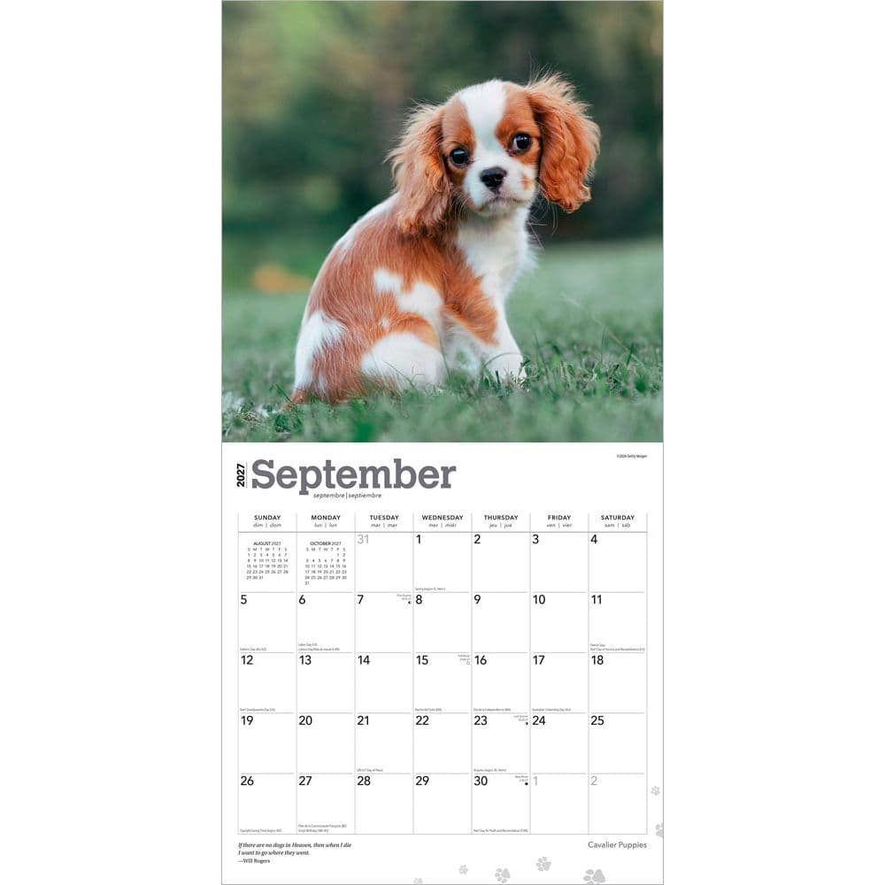 Cavalier King Charles Puppies 2027 Wall Calendar Third Alternate Image