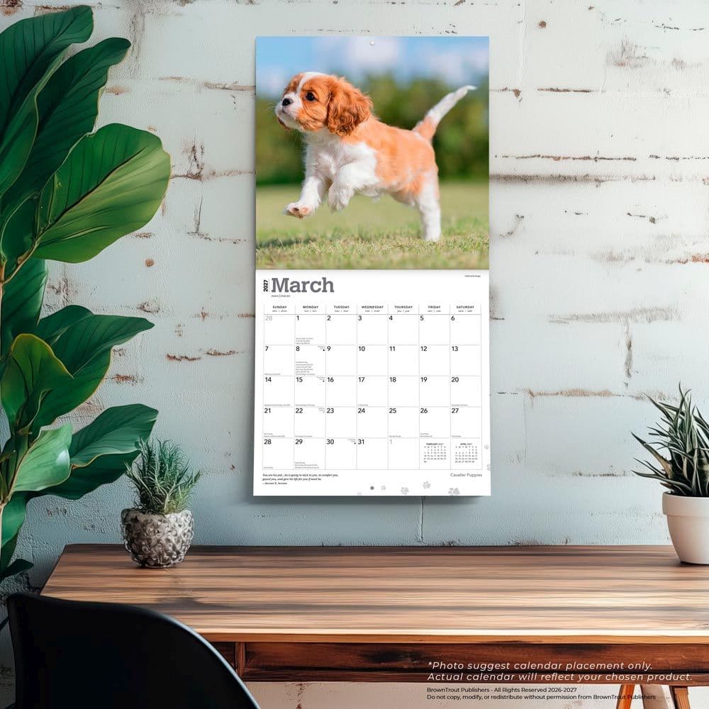 Cavalier King Charles Puppies 2027 Wall Calendar Fourth Alternate Image