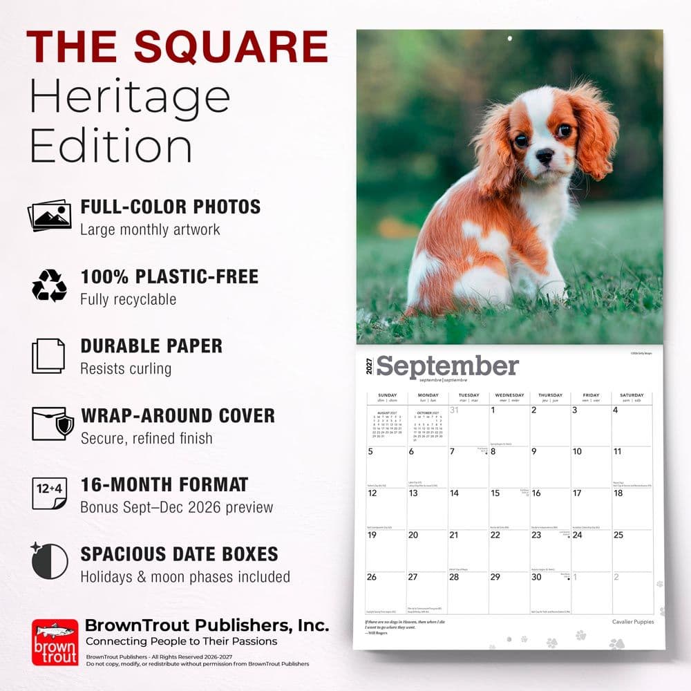 Cavalier King Charles Puppies 2027 Wall Calendar Fifth Alternate Image