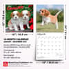 image Cavalier King Charles Puppies 2027 Wall Calendar Sixth Alternate Image