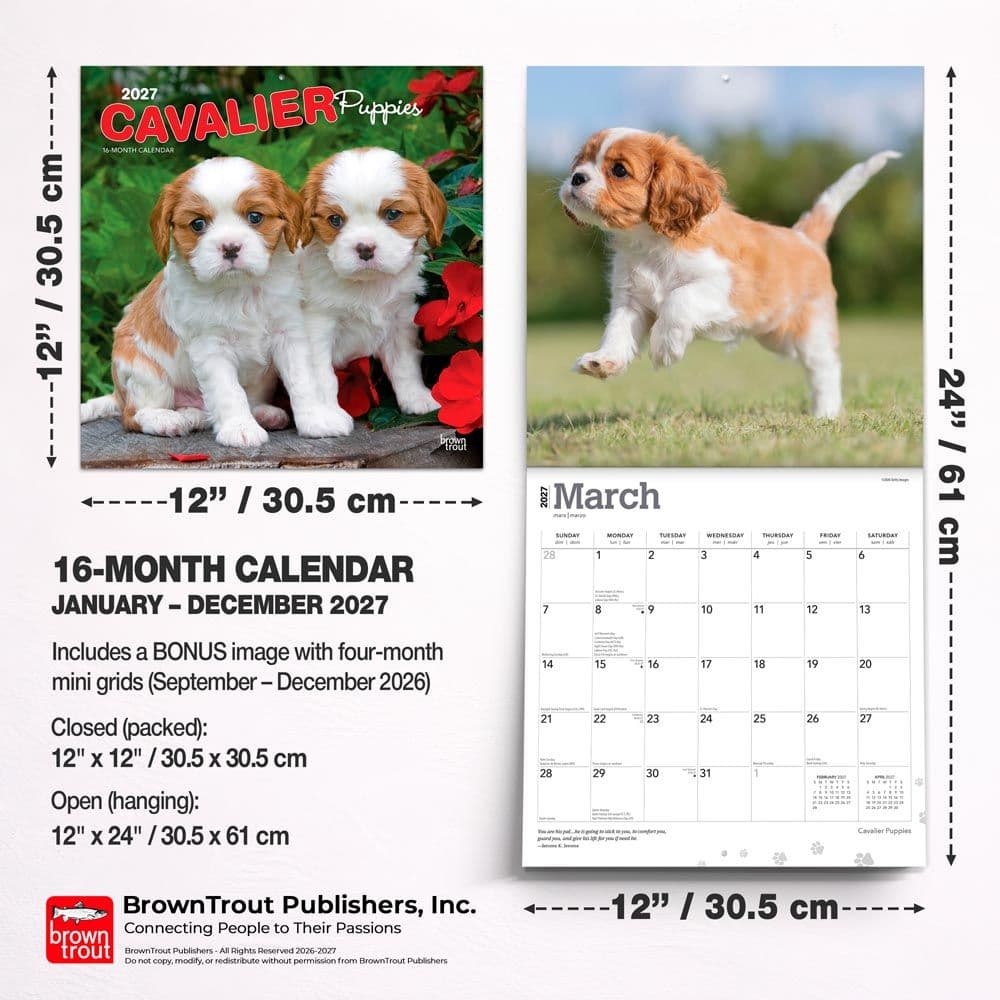 Cavalier King Charles Puppies 2027 Wall Calendar Sixth Alternate Image
