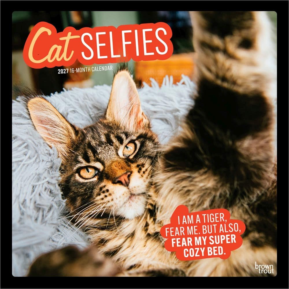 Cat Selfies 2027 Wall Calendar Main Product Image