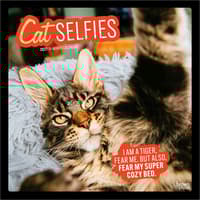 image Cat Selfies 2027 Wall Calendar Main Product Image