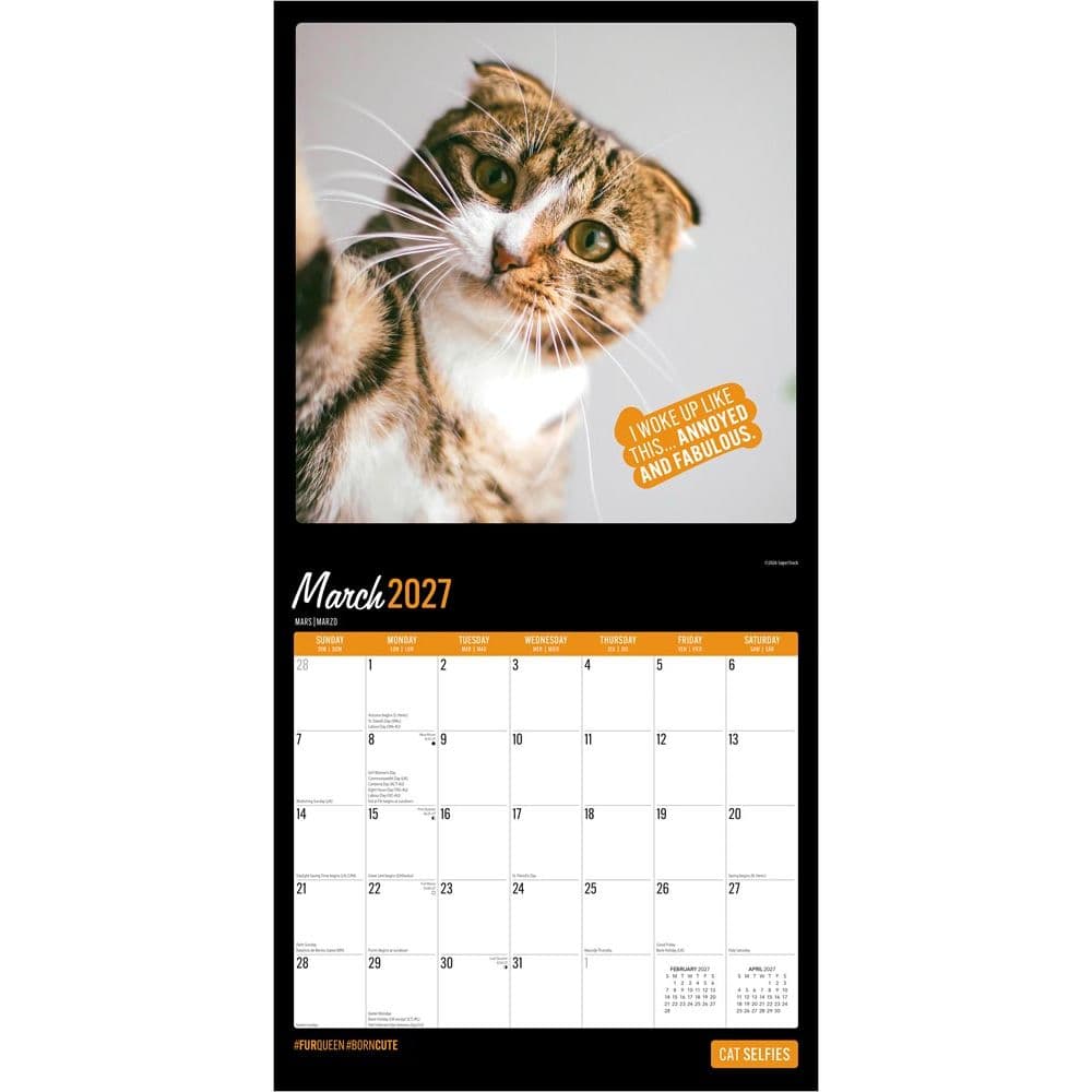 Cat Selfies 2027 Wall Calendar Second Alternate Image