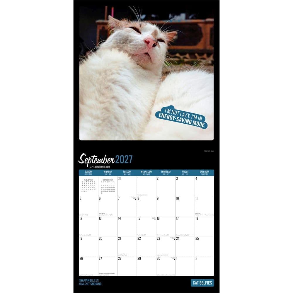 Cat Selfies 2027 Wall Calendar Third Alternate Image