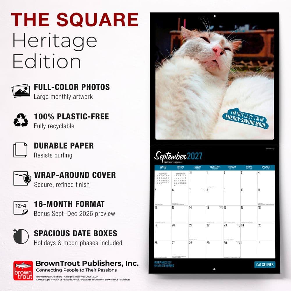 Cat Selfies 2027 Wall Calendar Fifth Alternate Image